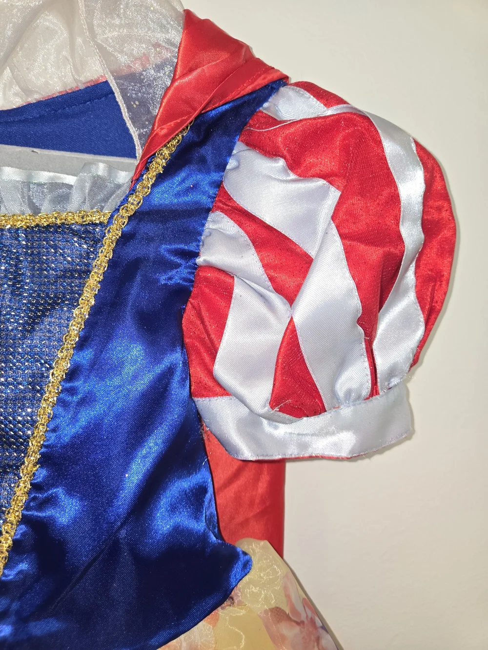 Disney Blue and Red Princess Floral Costume Dress